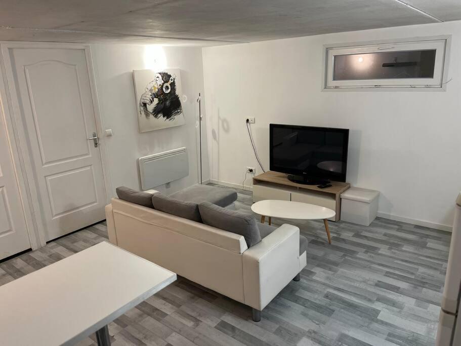 a living room with a couch and a flat screen tv at Appartement Souplex, Cholet in Cholet