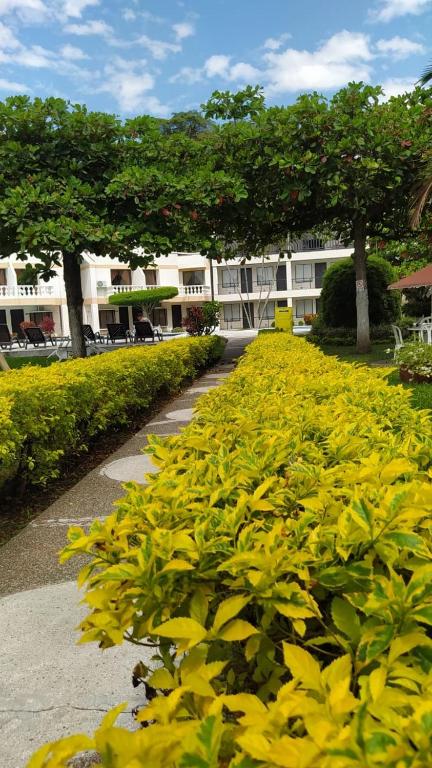 Un jardín fuera de Hotel Las Victorias Palmira