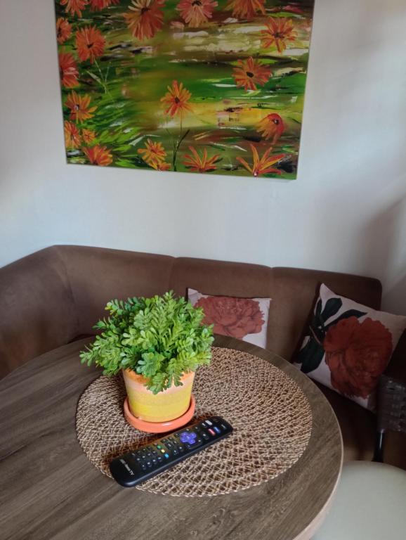 een tafel met een potplant en twee afstandsbedieningen bij Tedesco in Palmas