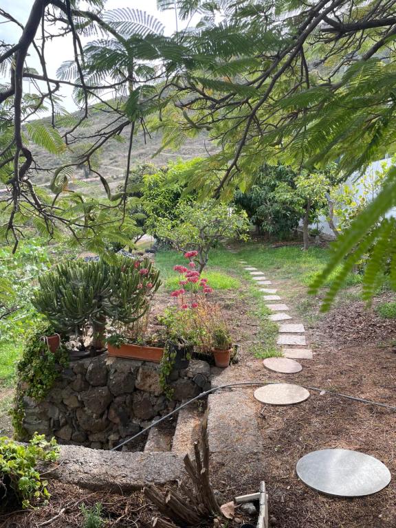 Zahrada ubytování CASA RURAL en Santa Cruz
