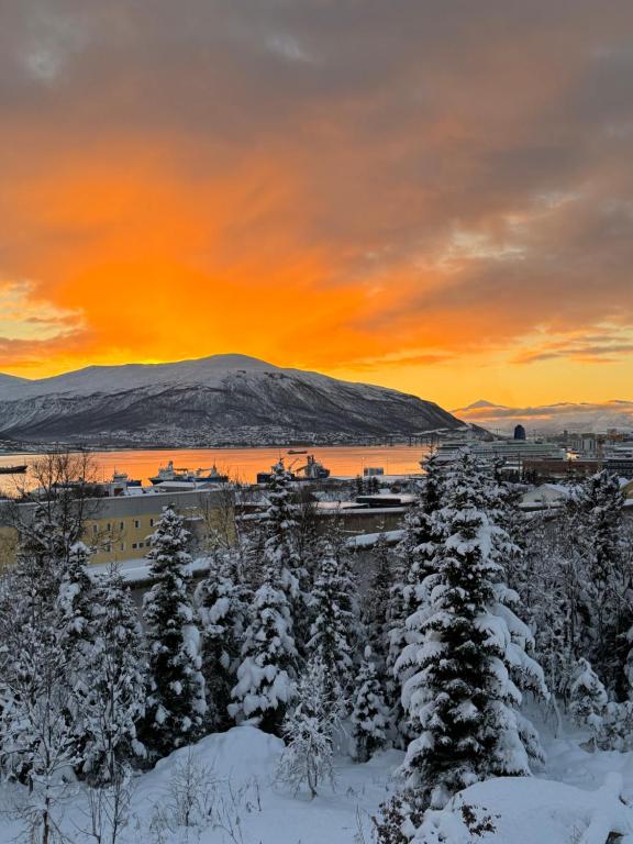 eine Stadt mit schneebedeckten Bäumen und einem Sonnenuntergang in der Unterkunft Spacious apartment with 3 bedrooms next to amazing nature in Tromsø