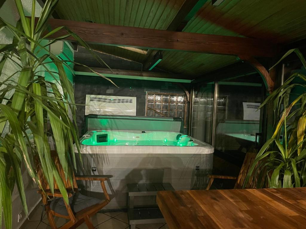 a bath tub in a room with plants at Appt privé, Jaccuzi pro, 2 pers, 100m2, jardin, proche, Parc des Expositions, Aéroport CDG, Villepinte in Villepinte