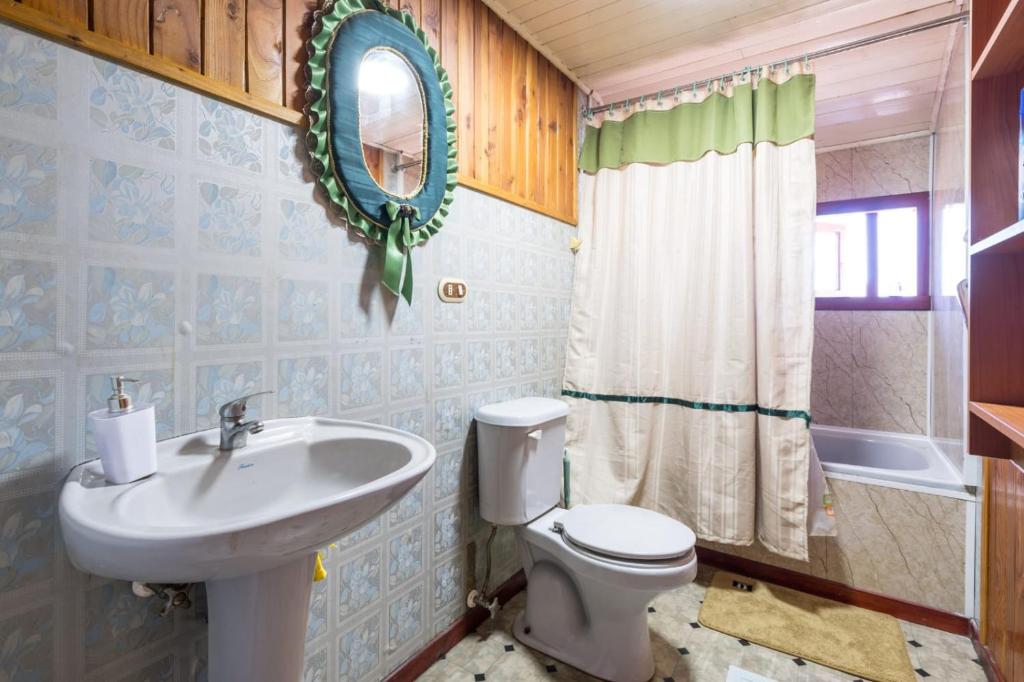Un baño con lavabo, inodoro y espejo. en Hospedaje Isla Talcan, en Dalcahue