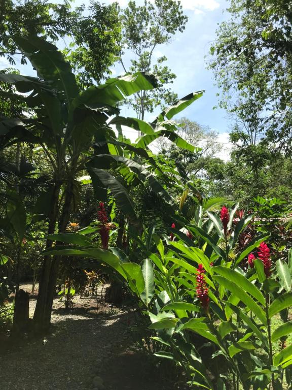 Little Yemanja Bungalow - One-Bedroom House