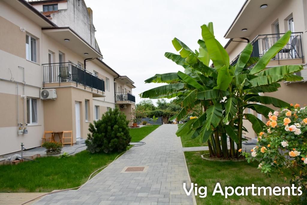 a courtyard of a apartment building with a plant at Vig Apartments in Timişoara