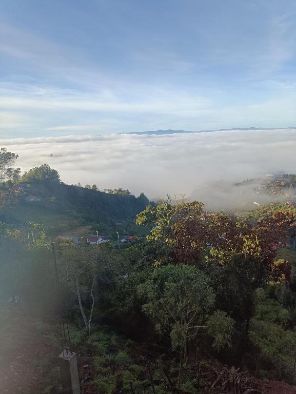 - une vue sur une vallée brumeuse avec des arbres et des nuages dans l'établissement Lindo mirador del oriente Antioqueño, à Guarne