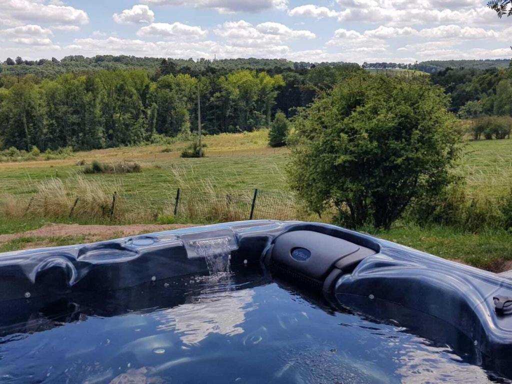 een plas water in een veld met uitzicht op een veld bij Luxury holiday home in Marchin with wellness in Marchin