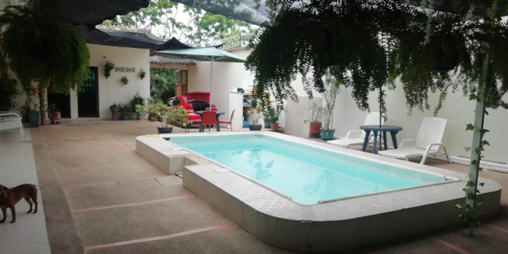 una piscina en un patio con un perro al lado en Casa Quinta Villa Rosita, en Carmen de Apicalá