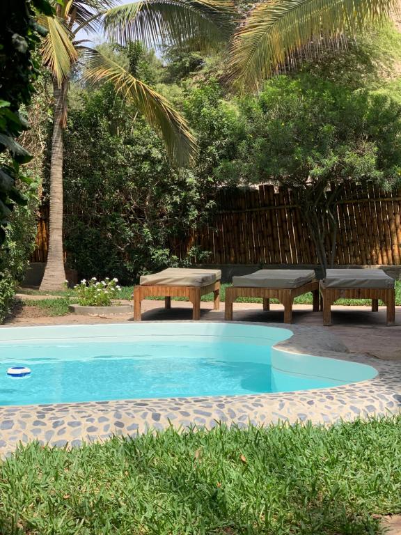 曼科拉的住宿－Terraza Salvatore, Casa en Las Pocitas de Máncora，一个带2个长椅和野餐桌的游泳池