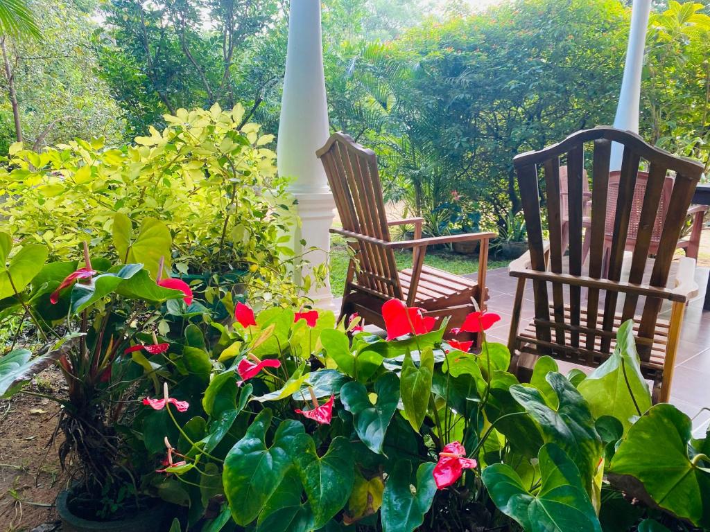 due sedie e fiori su un portico di Fairview Dill homestay a Sigiriya