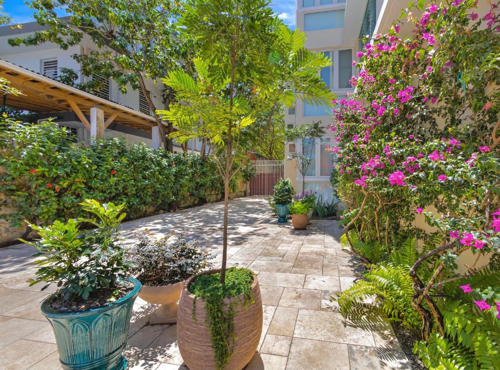a garden with potted plants and flowers in a building at Hidden Gem In Miramar- Power Generator- Parking in San Juan