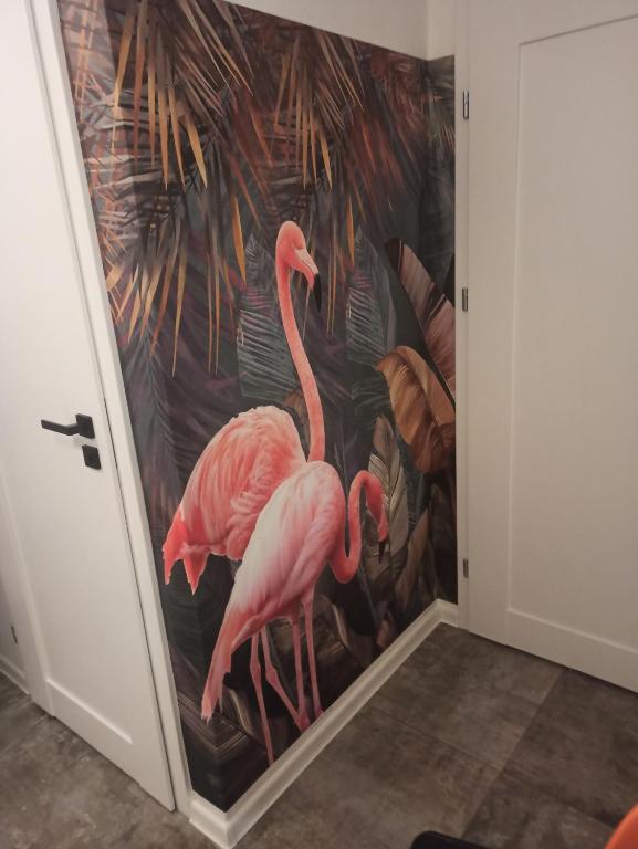 Mieszkanie Antoni - Two-Bedroom Apartment