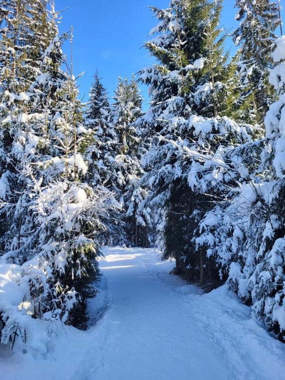 Pension Lärchenbrunn during the winter