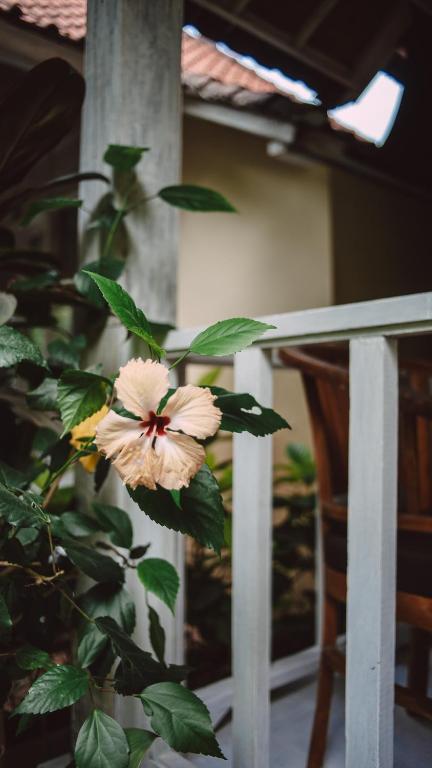 The Lucky Cottage - 12