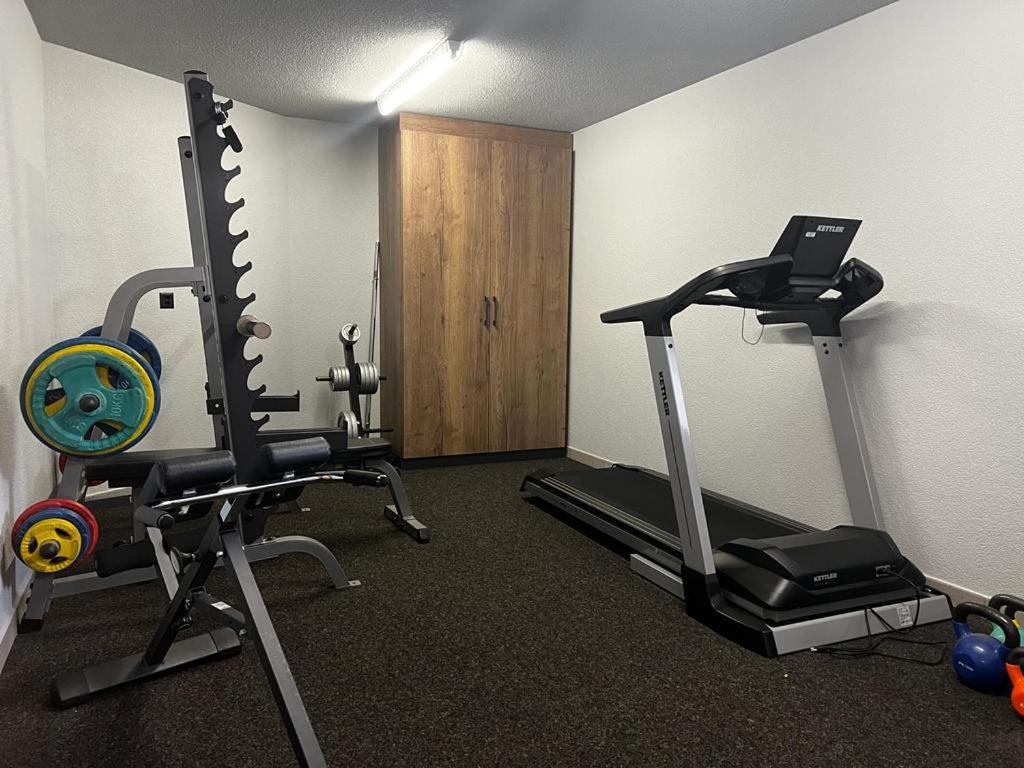 Fitness centrum a/nebo fitness zařízení v ubytování Angelina