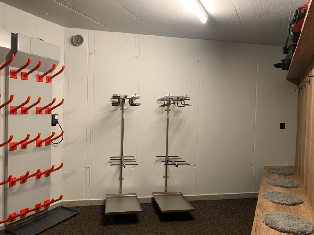 Fitness centrum a/nebo fitness zařízení v ubytování Angelina