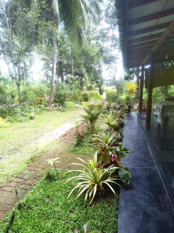 Zahrada ubytování Sigiriya Hillside View Villa