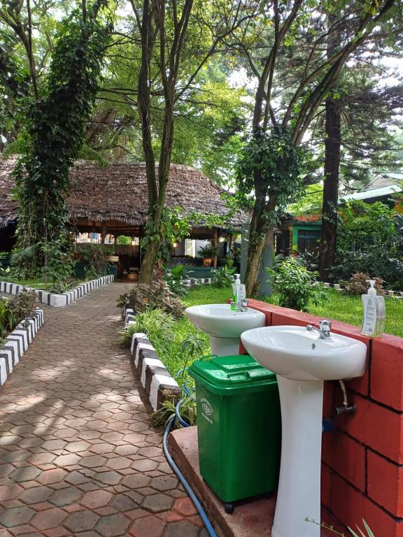 dos lavabos sentados junto a una pared de ladrillo con árboles en Green Garden Hostel, en Arusha