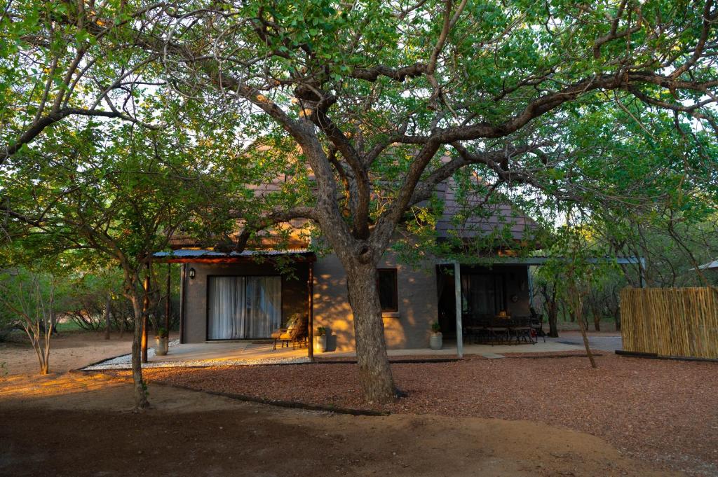 a large tree in front of a building at Bushveld Jewel - Close to Kruger in Hoedspruit