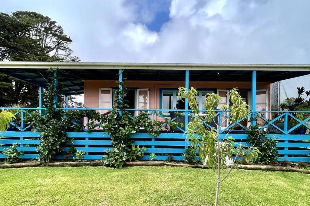 niebieski dom z roślinami przed nim w obiekcie Matauri Bay Shearer's Cottage w mieście Matauri Bay