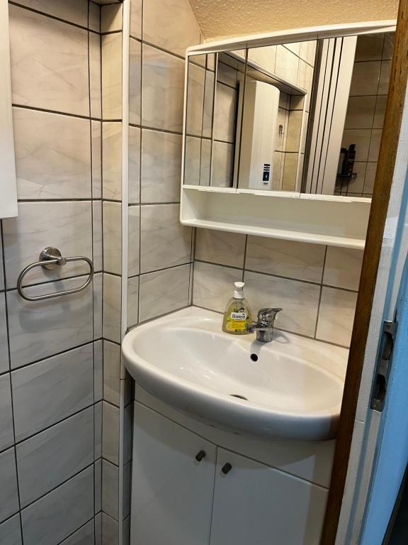 a bathroom with a sink and a mirror at Casa Veli Apartments in Offenburg