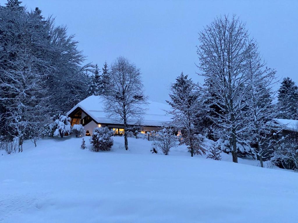 a house covered in snow in front of trees at Amadeus Black Forest Mountain in Todtmoos