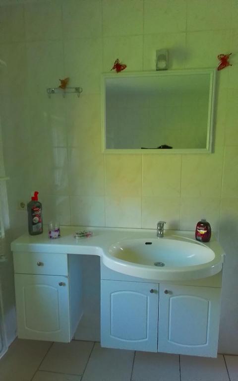 a bathroom with a white sink and a mirror at 4 Personen Ferienwohnung in Hohnstein