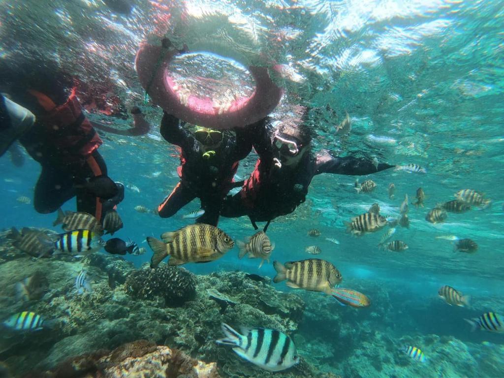 Hosté ubytování Water World Diving Resort