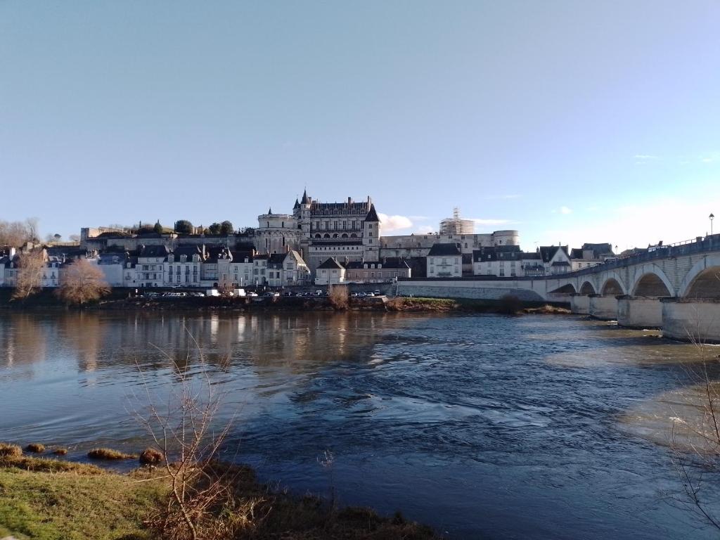 a view of a river with a bridge and buildings at Ô 87 - chambres d'hôtes in Amboise