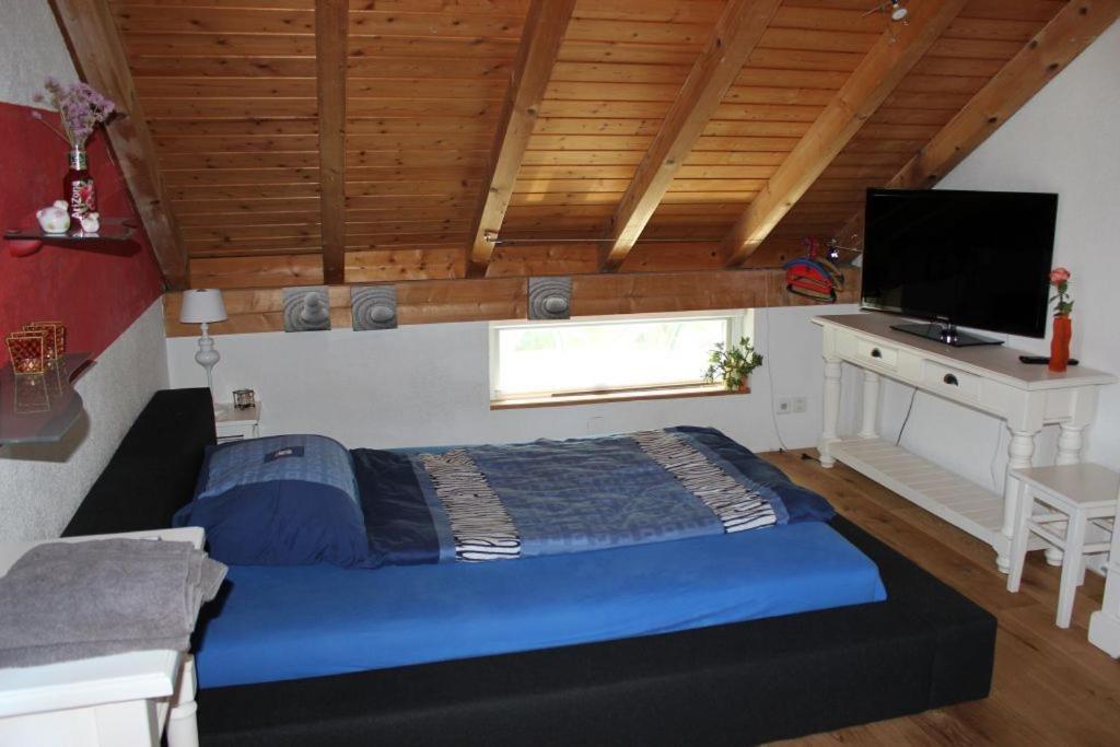 TV a/nebo společenská místnost v ubytování Bed & Breakfast Wepfer
