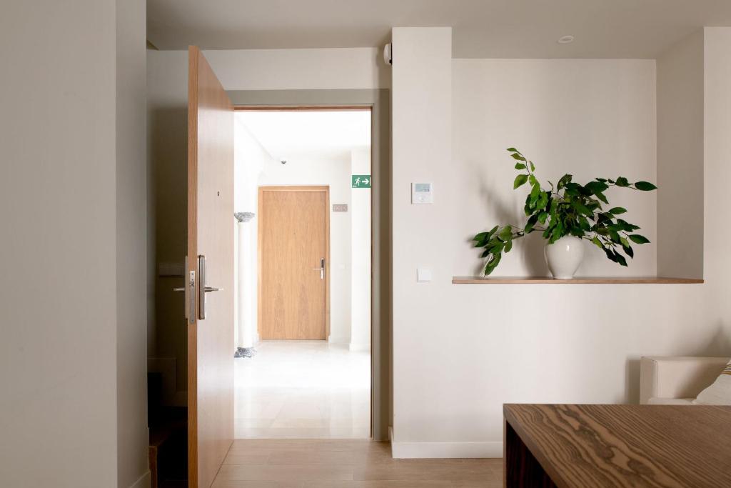 Hommyhome Duque de Veragua - 13