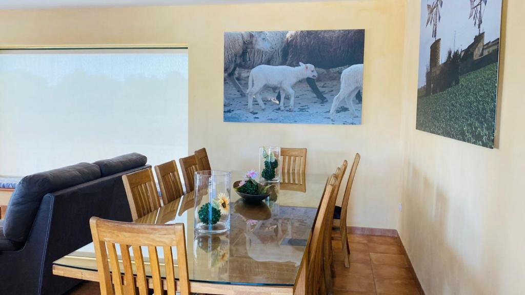 Posezení v ubytování YourHouse Romani Villa