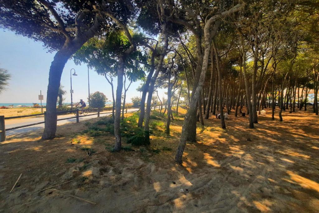 Príroda v okolí apartmánu