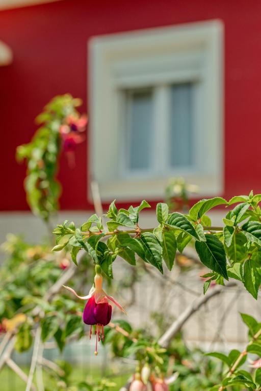 Zahrada ubytování Algés Village Casa 4 by Lisbon-Coast vacation