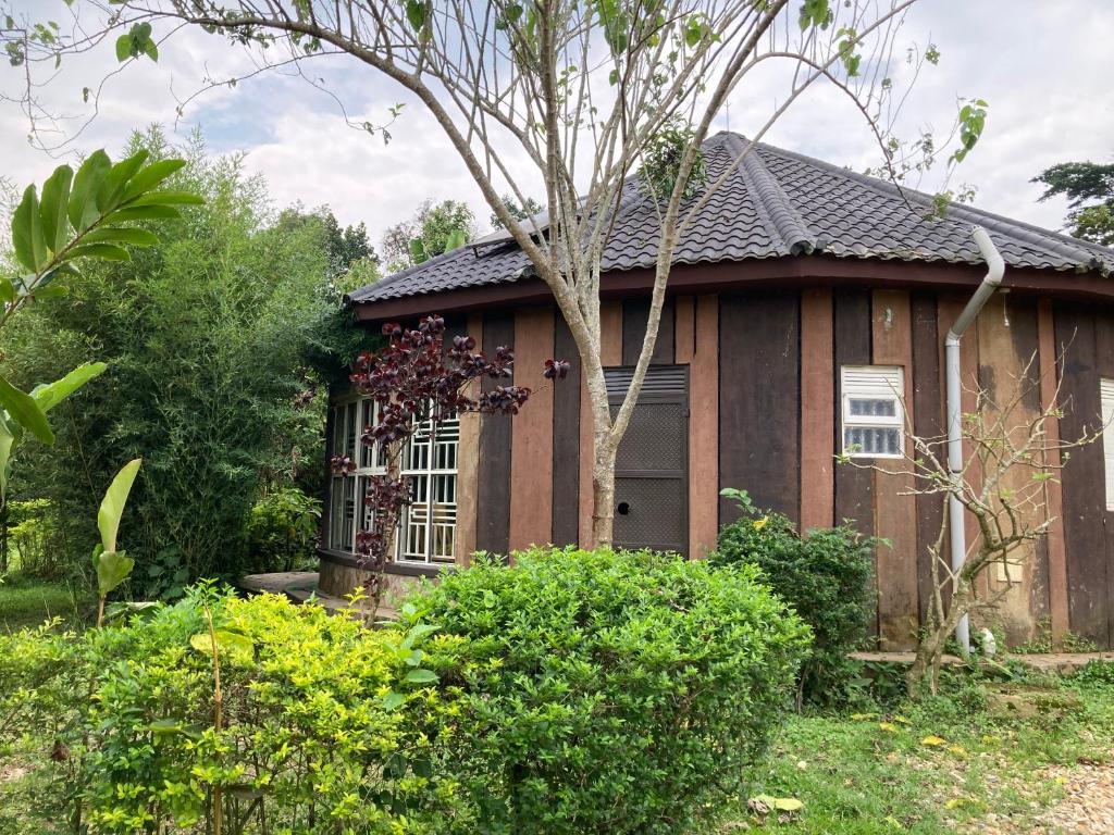 Zahrada ubytování Bwindi Guest House