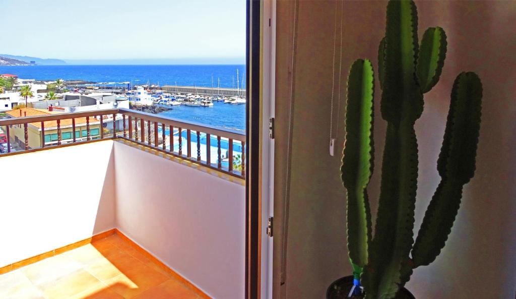 un cactus sentado junto a una ventana con vistas al océano en Piso en Candelaria con terraza, vistas al mar, aire acondicionado y garaje, en Candelaria