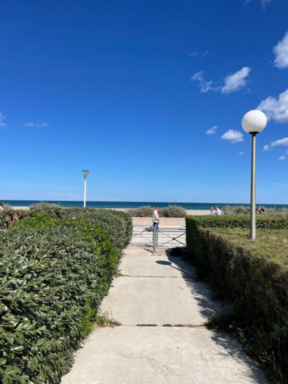 un homme faisant du vélo sur un trottoir près de la plage dans l'établissement STUDIO LES PIEDS DANS L'EAU, à Canet