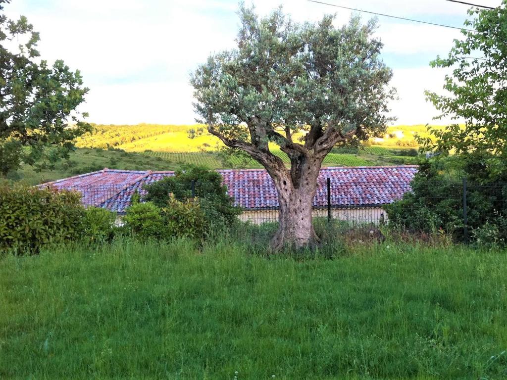 a tree in the middle of a green field at Maison Vagnas, 4 pièces, 6 personnes - FR-1-382-176 in Vagnas