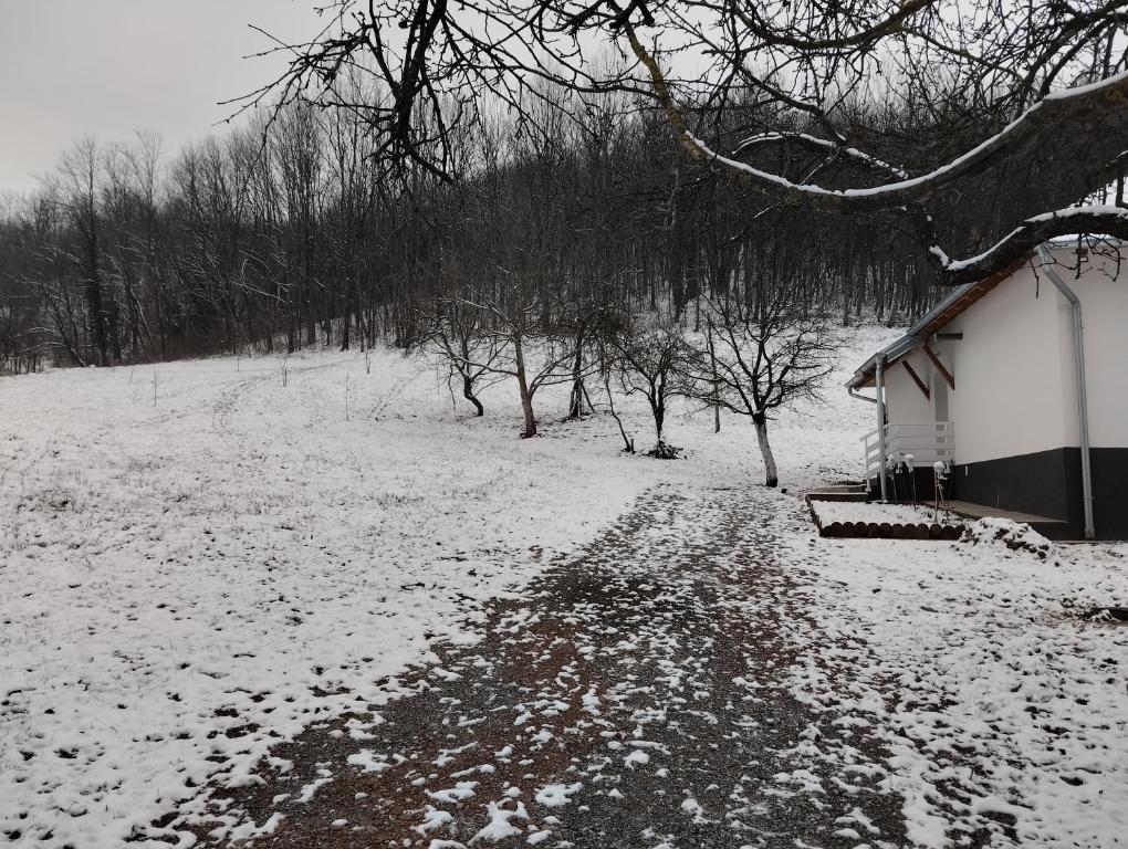 Vitovnicki Mir v zimě