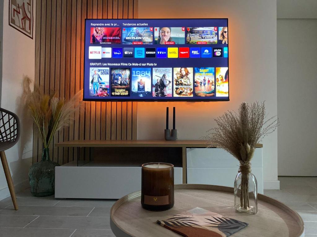 TV i/ili multimedijalni sistem u objektu Appartement T2 cosy (aéroport - parc des expo - parc Astérix)