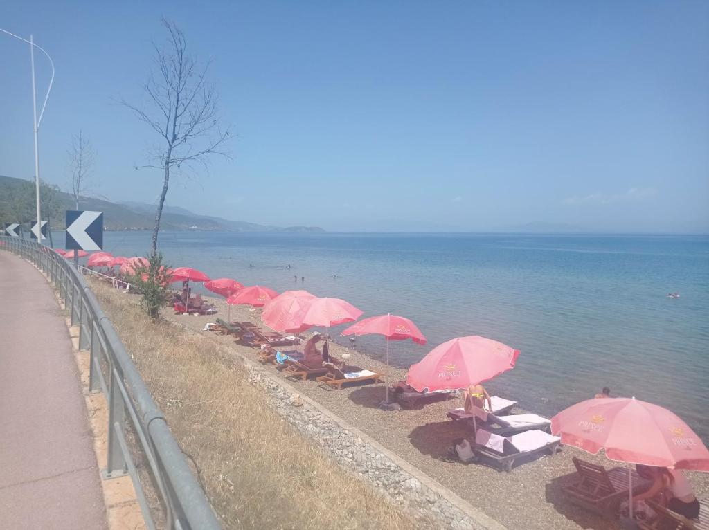 eine Reihe von rosa Sonnenschirmen am Strand in der Unterkunft Ble Alb in Udënisht