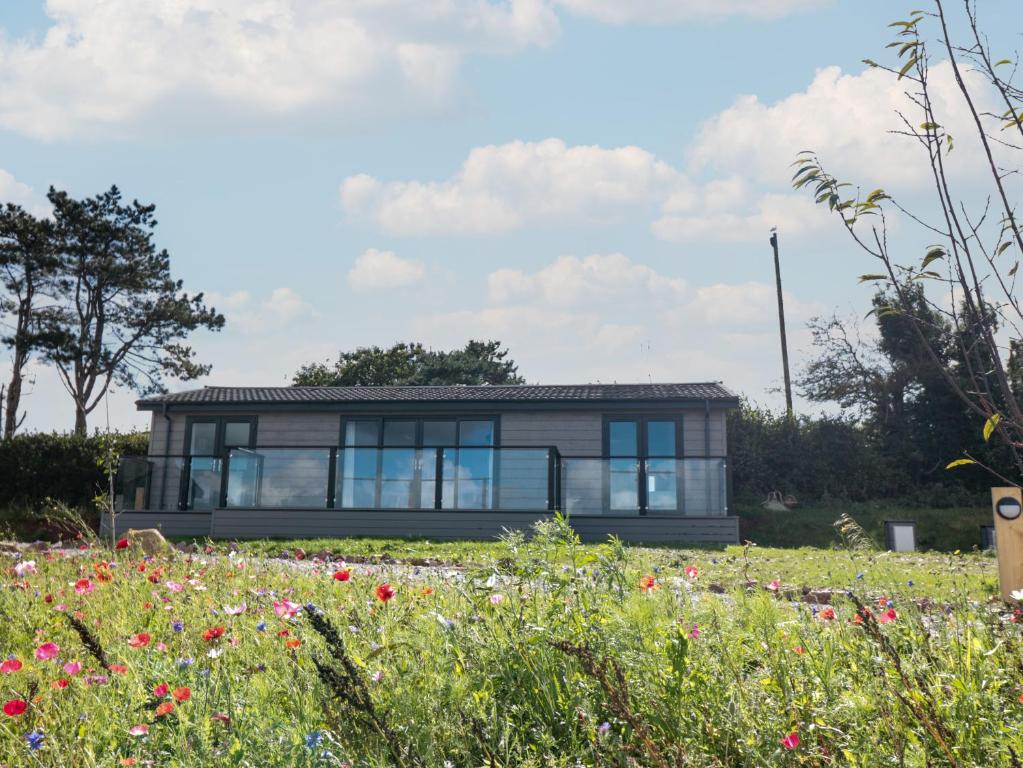 a house in a field with flowers at Bluebell Lodge in Dartmouth