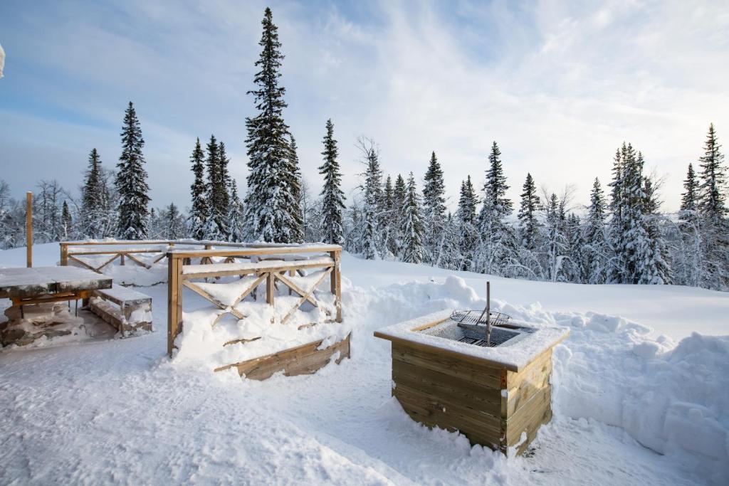 Luxurious cottage with sauna overlooking mountains v zimě