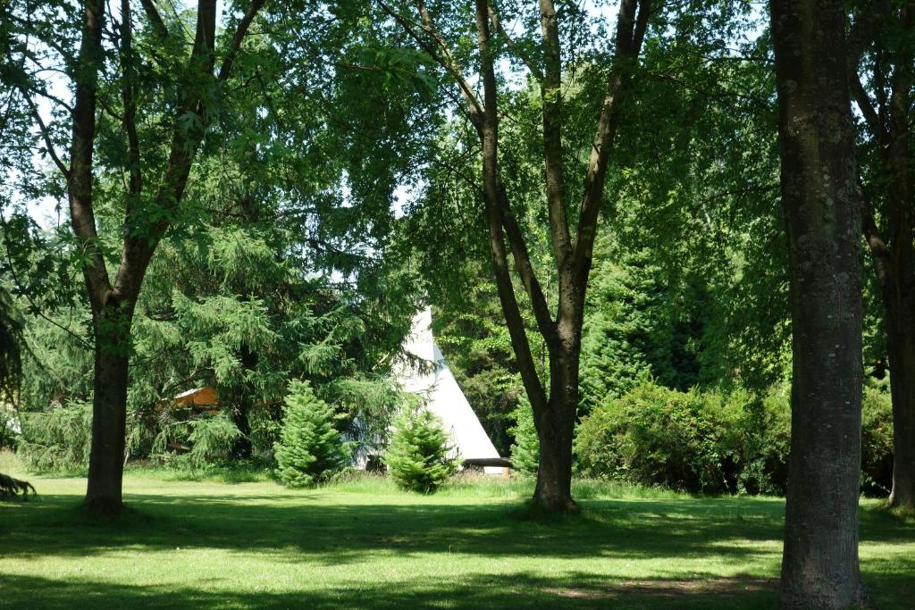 a group of trees in a park with a white tent at Levaltipis in Saint Gatien des Bois