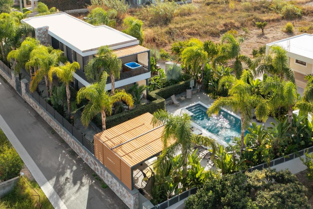 widok z lotu ptaka na dom z basenem i palmami w obiekcie Palmeral Luxury Suites w mieście Rodos