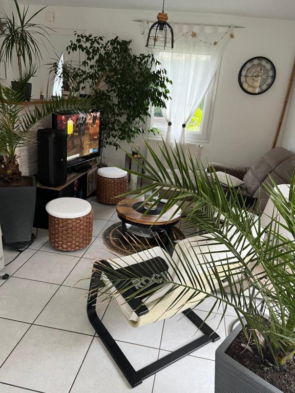 a living room with potted plants and a tv at Villa le jasmin très calme in Andrézieux-Bouthéon