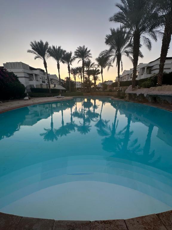 une grande piscine bleue avec des palmiers en arrière-plan dans l'établissement Sunterra Resort 01 bedroom Apt., à Charm el-Cheikh