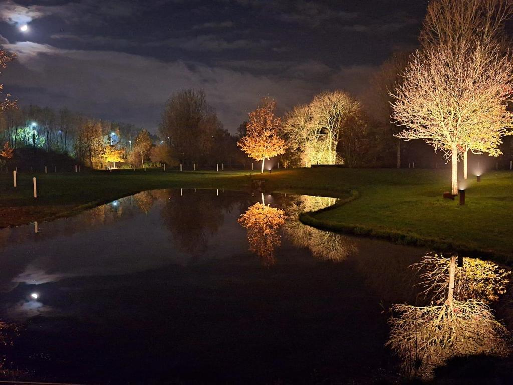 a reflection of trees in a pond at night at Ferme Delgueule in Tournai