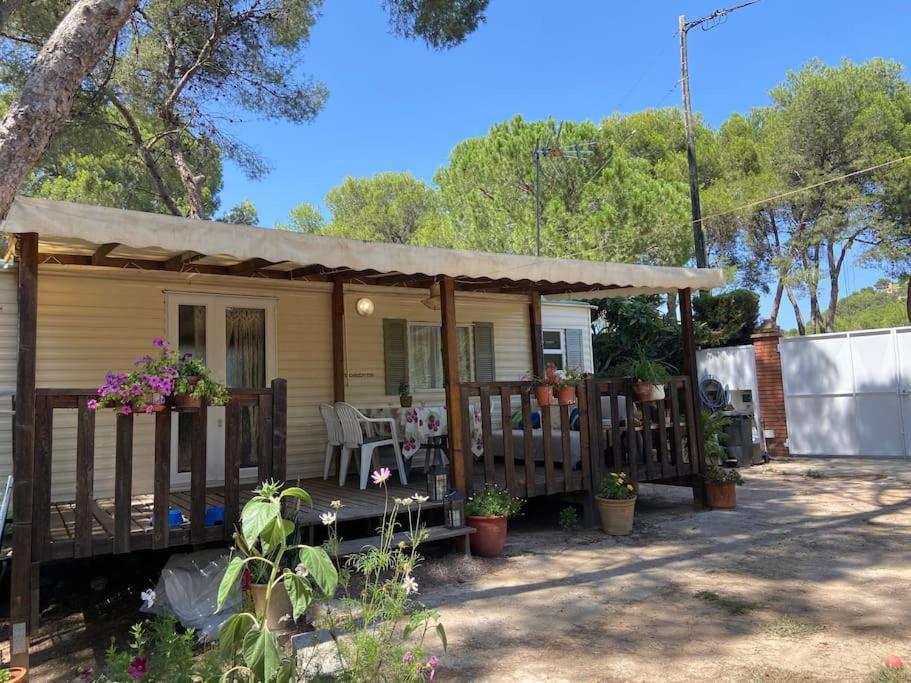 Gallery image of Mobil home Calicanto in Masía Aldamar