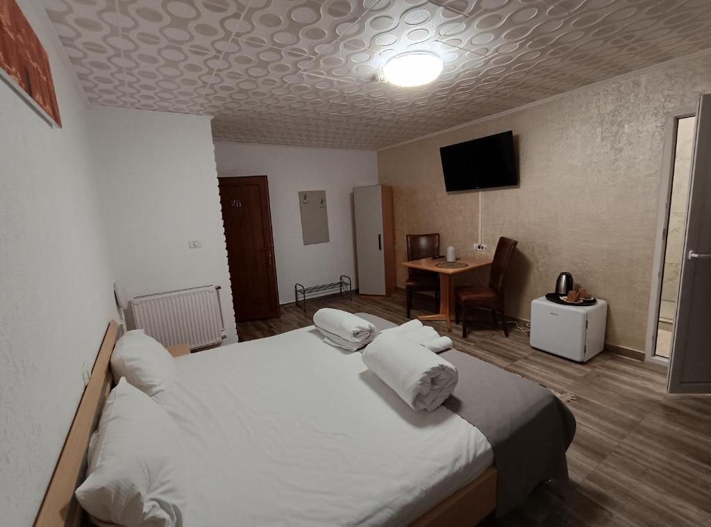 una camera d'albergo con letto e TV di Pensiunea Johanna a Arad